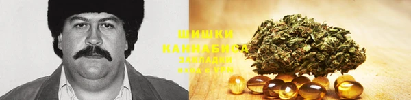 тгк Аркадак