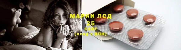 тгк Аркадак