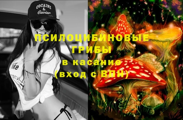 гидра Армянск